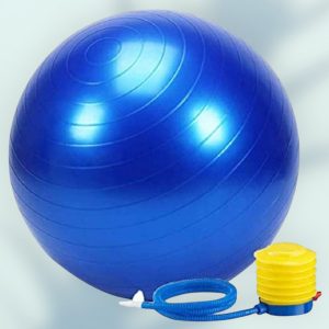 Rebalance India Gym Ball for Core Strength and Stability Training