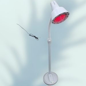 Rebalance India IR Lamp Standing for Targeted Heat Therapy